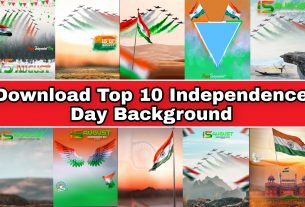 top 10 independence day background download