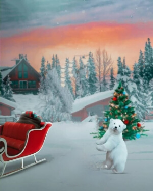 Christmas Editing Background