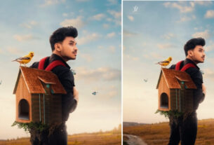 Bird House Photo Editing