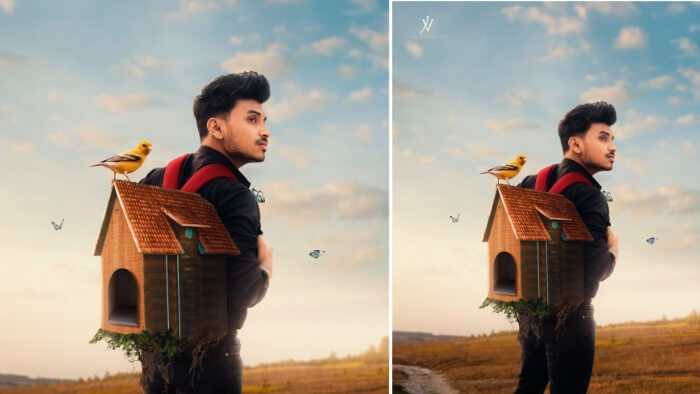 Bird House Photo Editing